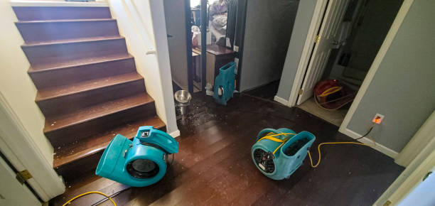 Best Basement water damage restoration  in Providence, KY