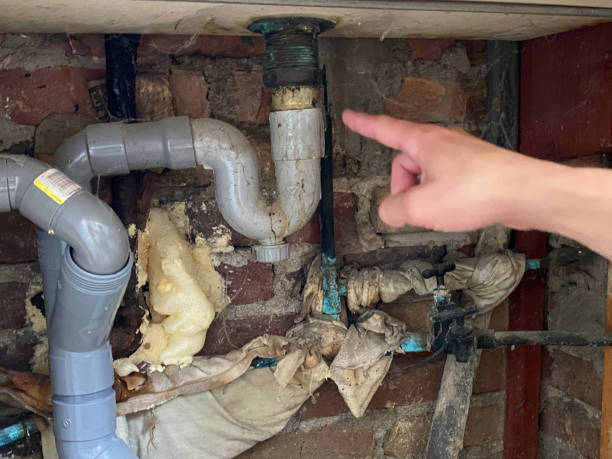 Best 24-hour water damage restoration  in Providence, KY