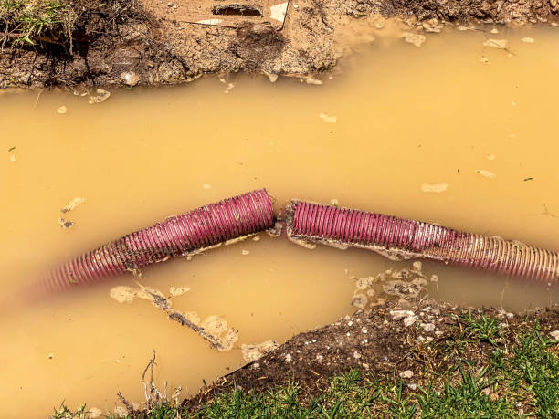 Best Local water damage restoration  in Providence, KY