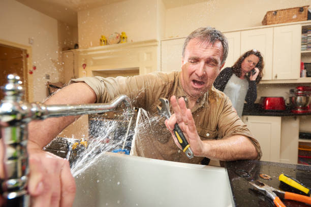 Best Professional water damage repair  in Providence, KY